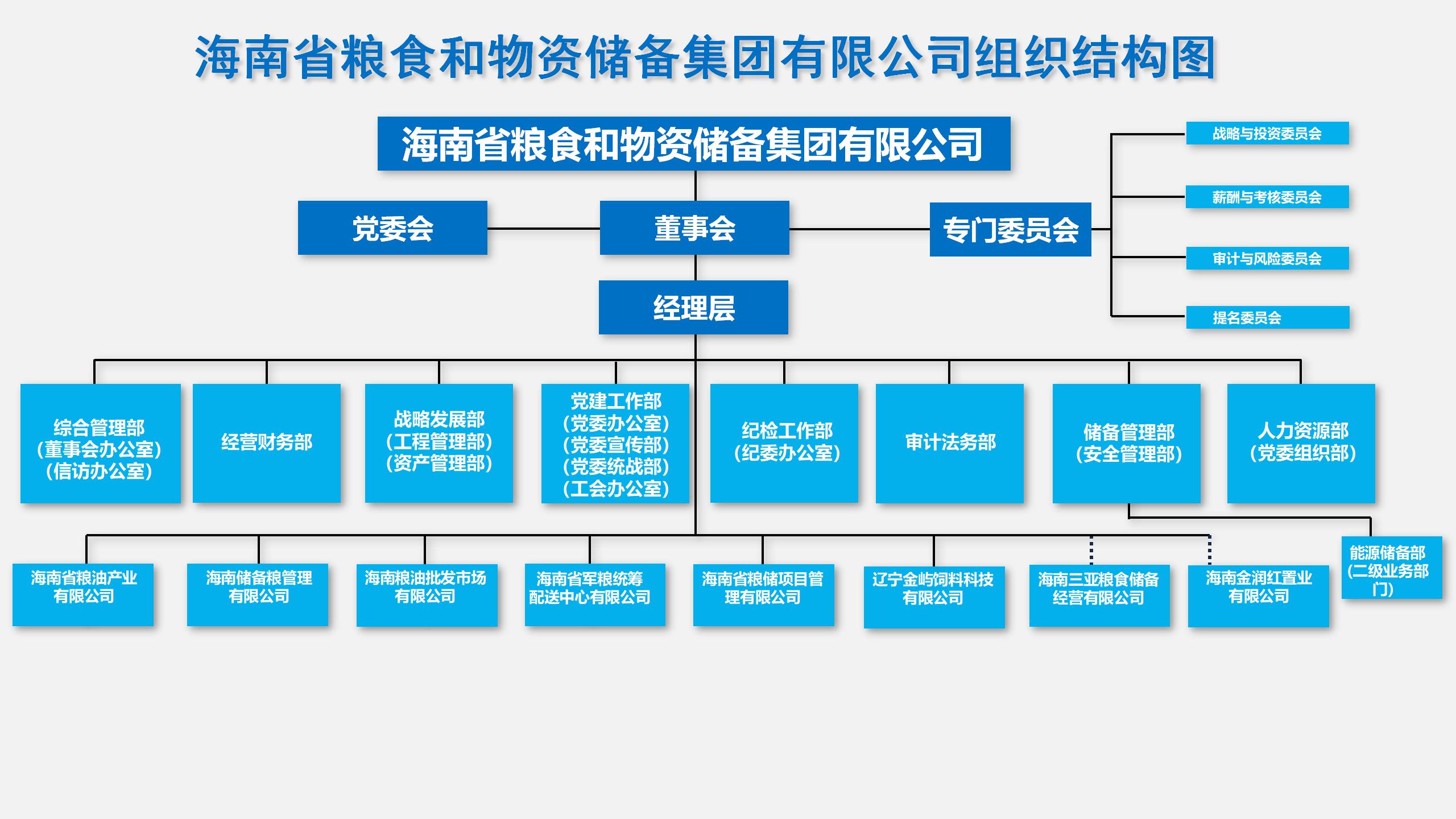 瓊儲(chǔ)人海南省糧食和物資儲(chǔ)備集團(tuán)有限公司組織結(jié)構(gòu)圖二級(jí).jpg